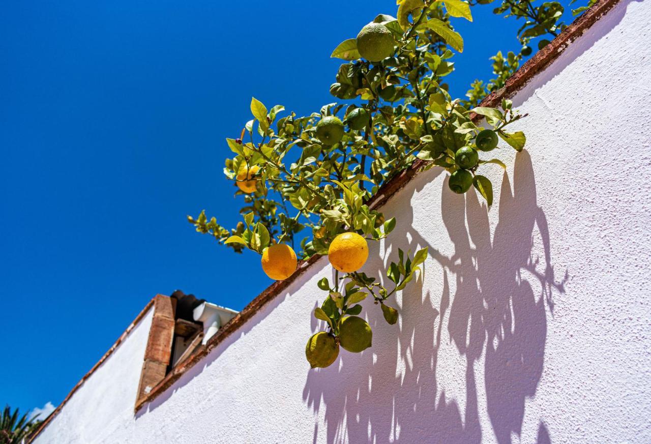 Villa Yanna Benalmádena Dış mekan fotoğraf
