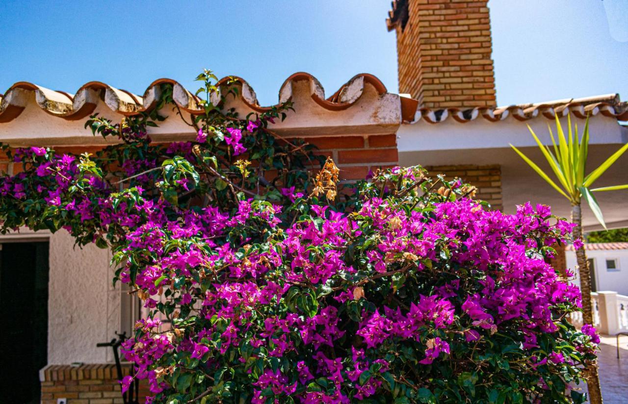 Villa Yanna Benalmádena Dış mekan fotoğraf